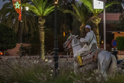 People sitting by palm trees and plants