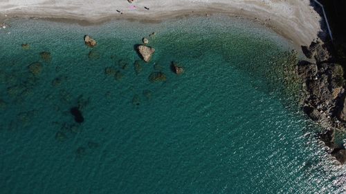 High angle view of swimming in sea