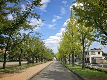 Road amidst trees and buildings against sky