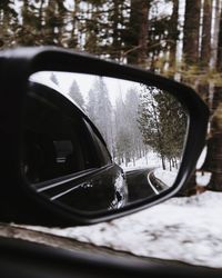 Reflection of trees on side-view mirror