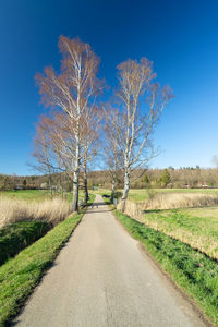 Road amidst bare trees on field against blue sky