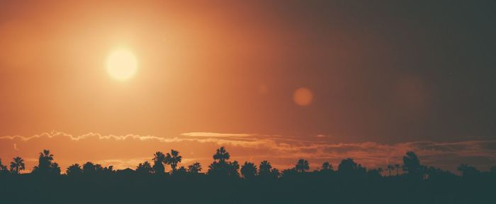 Silhouette trees against sky during sunset