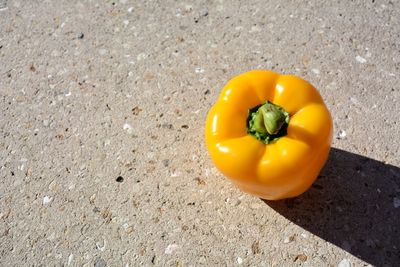 High angle view of yellow sweet bell pepper in bright sunlight