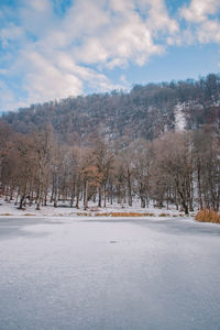 Scenic view of snow covered field against sky
