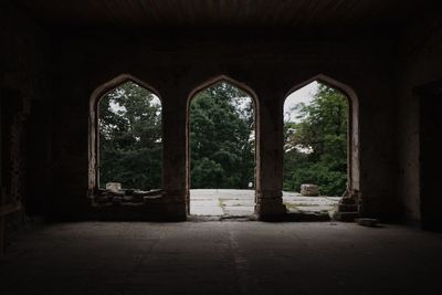 Trees seen through arch window of old building