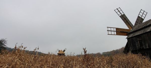 Plants on field by houses against sky