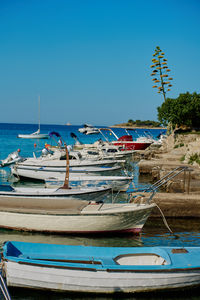 Boats moored at harbor