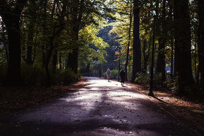 Empty road along trees in forest