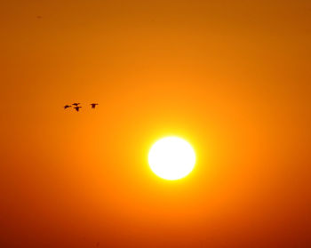 Low angle view of airplane flying in sky during sunset