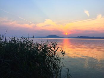 Scenic view of lake at sunset