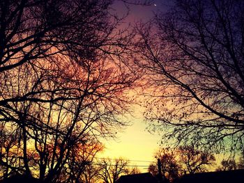 Low angle view of silhouette trees against sky during sunset