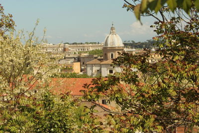 High section of church in city