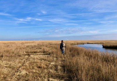 Rear view of woman walking in wetland with reed fields under blue sky, windturbines at horizon