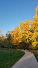 Road amidst trees against sky during autumn