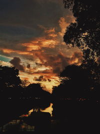 Silhouette of trees against cloudy sky