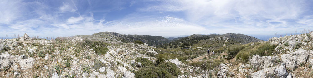 Panoramic view of trees and mountains against sky