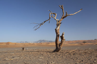 Scenic view of desert against sky