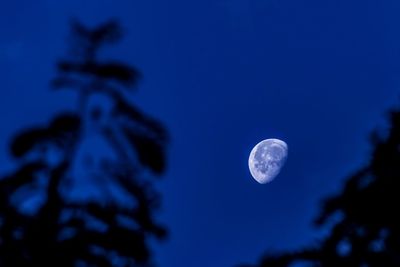 Low angle view of moon against blue sky at night