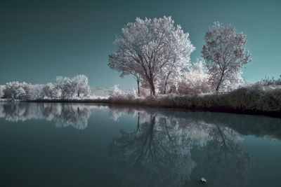 Reflection of trees in lake against sky