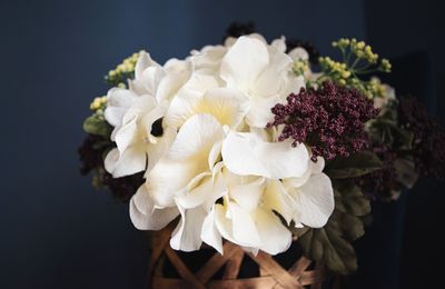 Close-up of flower arrangement in vase