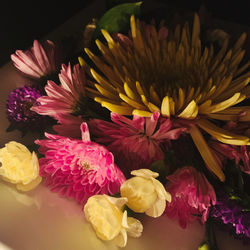 High angle view of pink flowering plant