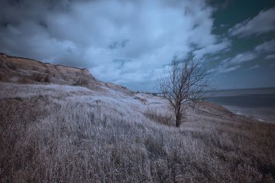 Scenic view of land against sky