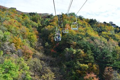 Overhead cable car against trees and mountains