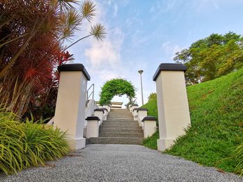 Footpath amidst palm trees and buildings against sky