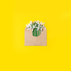 Flower vase against yellow background