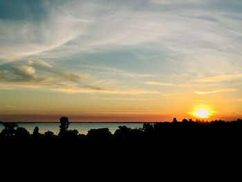 Silhouette plants by sea against sky during sunset