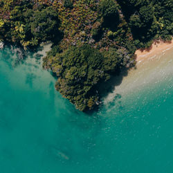 High angle view of trees by sea