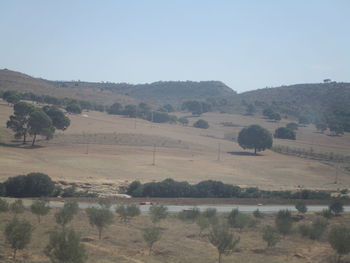 Scenic view of field against clear sky