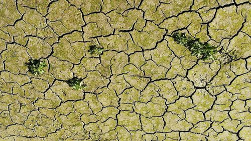 Full frame shot of cracked land