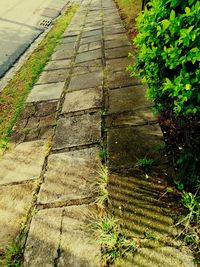 High angle view of footpath by stone wall