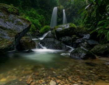 Scenic view of waterfall in forest