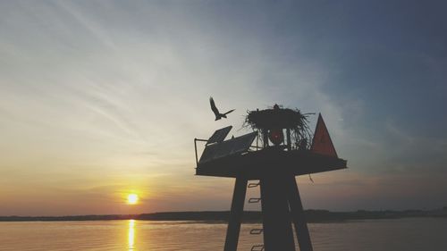 Low angle view of silhouette man by sea against sky during sunset