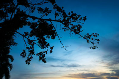 Low angle view of silhouette trees against sky at sunset