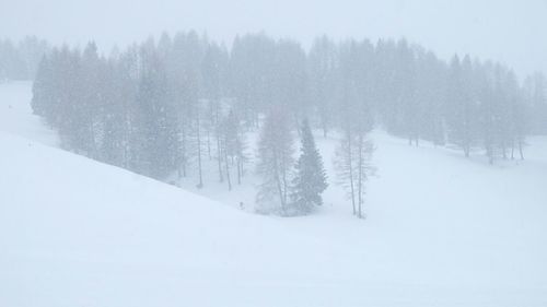 Scenic view of snow covered landscape