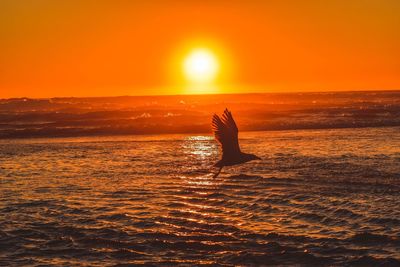 Silhouette man swimming in sea against orange sunset sky