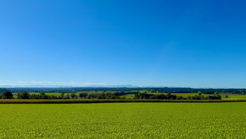 horizon