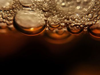 Close-up of water drop