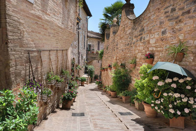 Flowery alley in the historic center of spello umbria