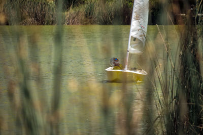 Swan swimming on lake