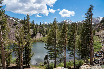 Scenic view of lake by trees against sky