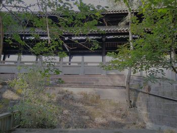 Exterior of building by trees