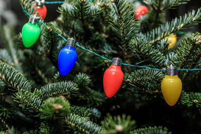 Close-up of christmas decorations hanging on tree