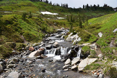 Scenic view of stream flowing through rocks