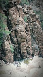 Rock formations on tree trunk