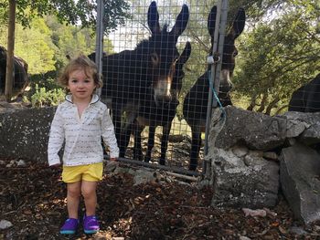 Portrait of cute boy standing against donkey cage