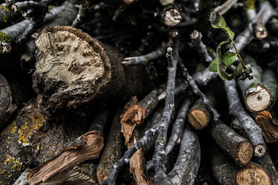 Full frame shot of wood